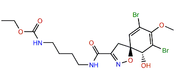 Subereamolline A